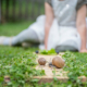 Yoga con le lumache e Colazione CmZero – Domenica 28 Settembre 2025