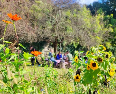 L'Orto del Baffo - l'orto del benessere