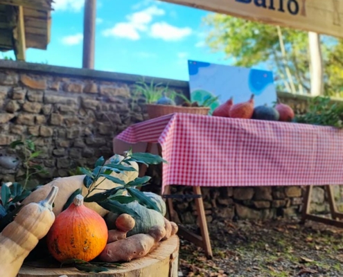 L'Orto del Baffo - l'orto del benessere