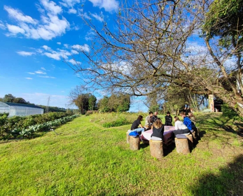 L'Orto del Baffo - l'orto del benessere