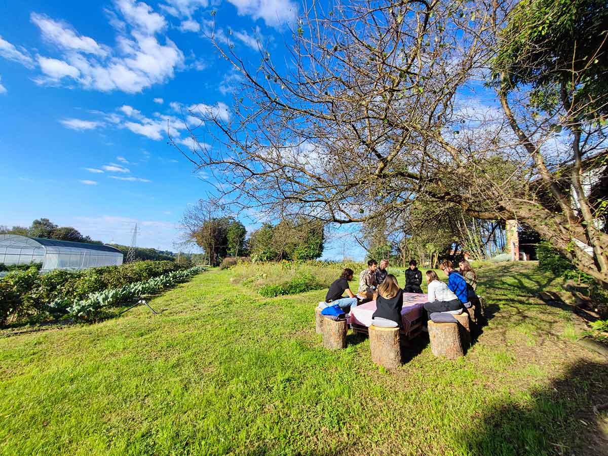 L'Orto del Baffo - l'orto del benessere