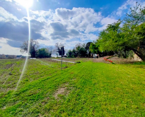 L'Orto del Baffo - l'orto del benessere