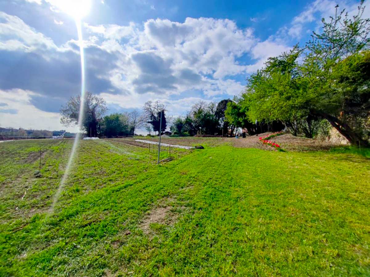 L'Orto del Baffo - l'orto del benessere