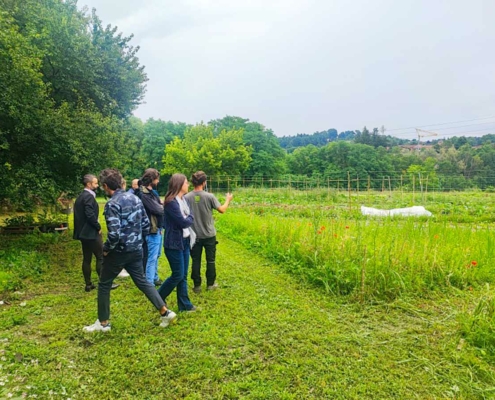 L'Orto del Baffo - l'orto del benessere