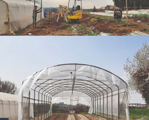 L'Orto del Baffo - l'orto del benessere