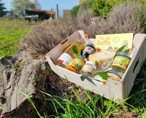 L'Orto del Baffo - l'orto del benessere