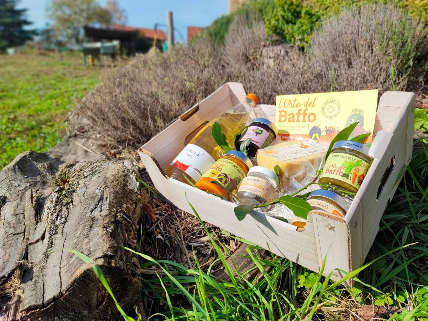 L'Orto del Baffo - l'orto del benessere