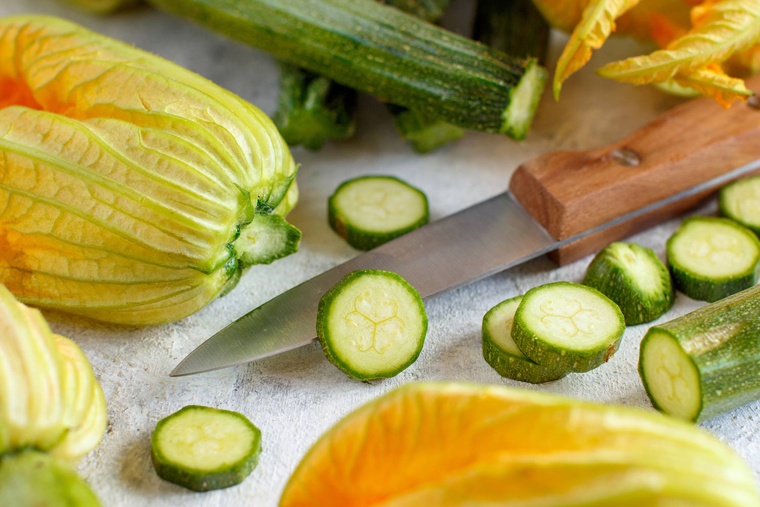 xnatus-Coltivazione-piante-zucchine_06