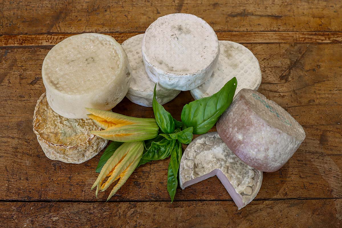 Casaro per un giorno e Degustazione a CmZero – Besana Brianza Sabato 16 Maggio 2026