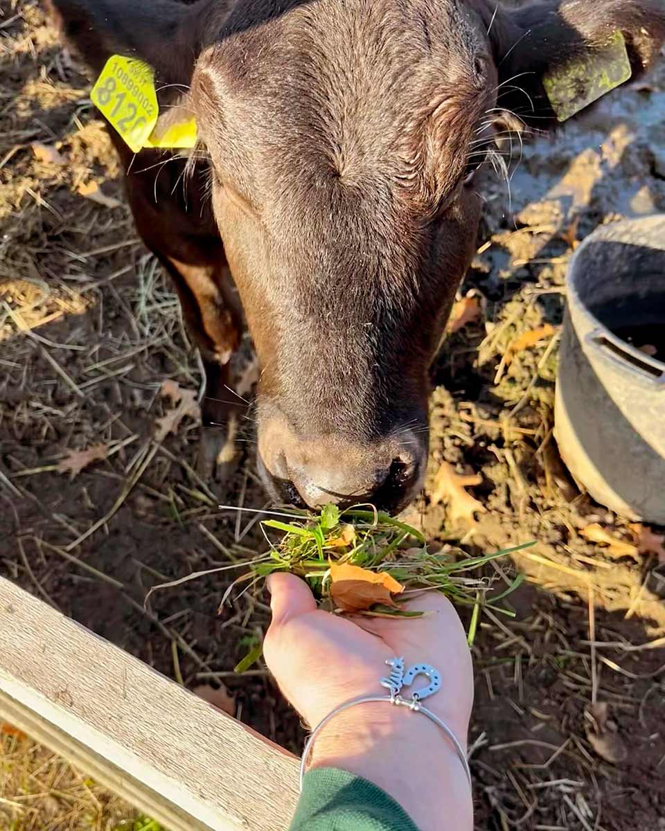 Casaro per un giorno e Degustazione a CmZero – Besana Brianza Sabato 16 Maggio 2026